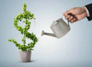 Инвестиции без переплат: кредит под 0% как стартовый капитал