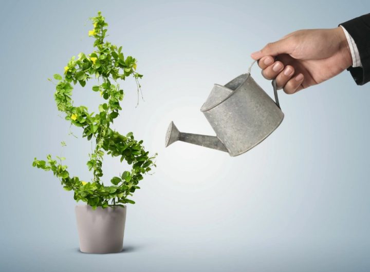 Инвестиции без переплат: кредит под 0% как стартовый капитал